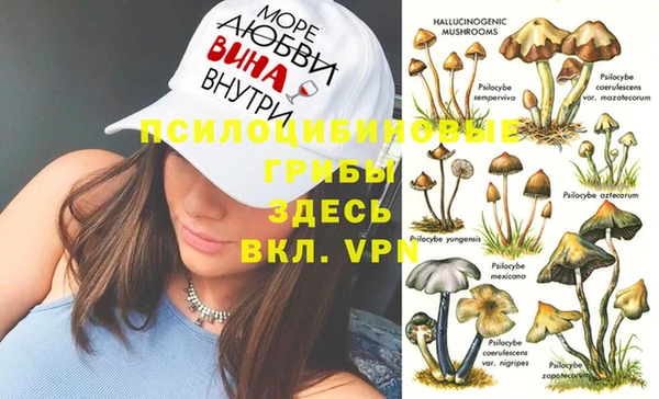 прущая мука Краснослободск