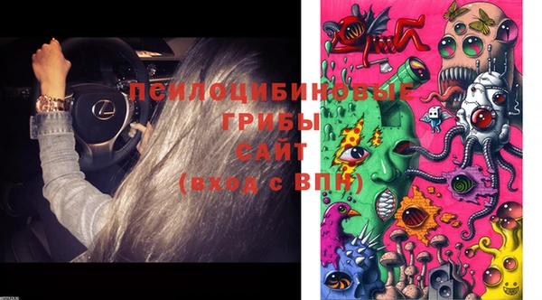 дмт Кулебаки
