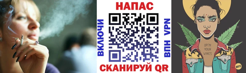 кракен зеркало  Шагонар  Шишки марихуана сатива 